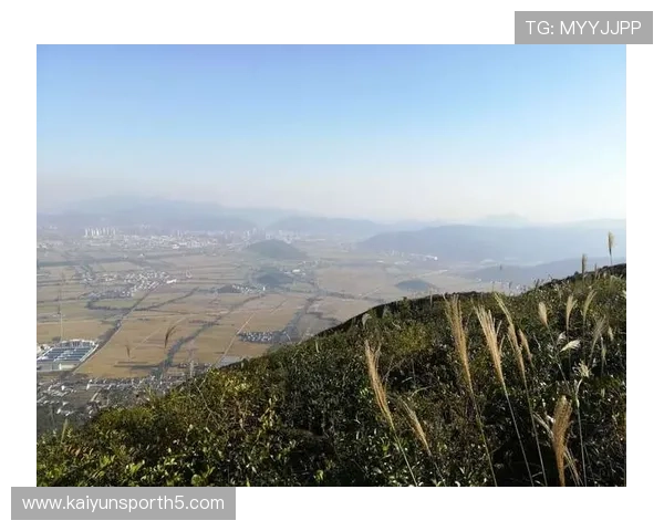 开云体育滚球盘：如何利用数据分析优化滚球盘投注决策